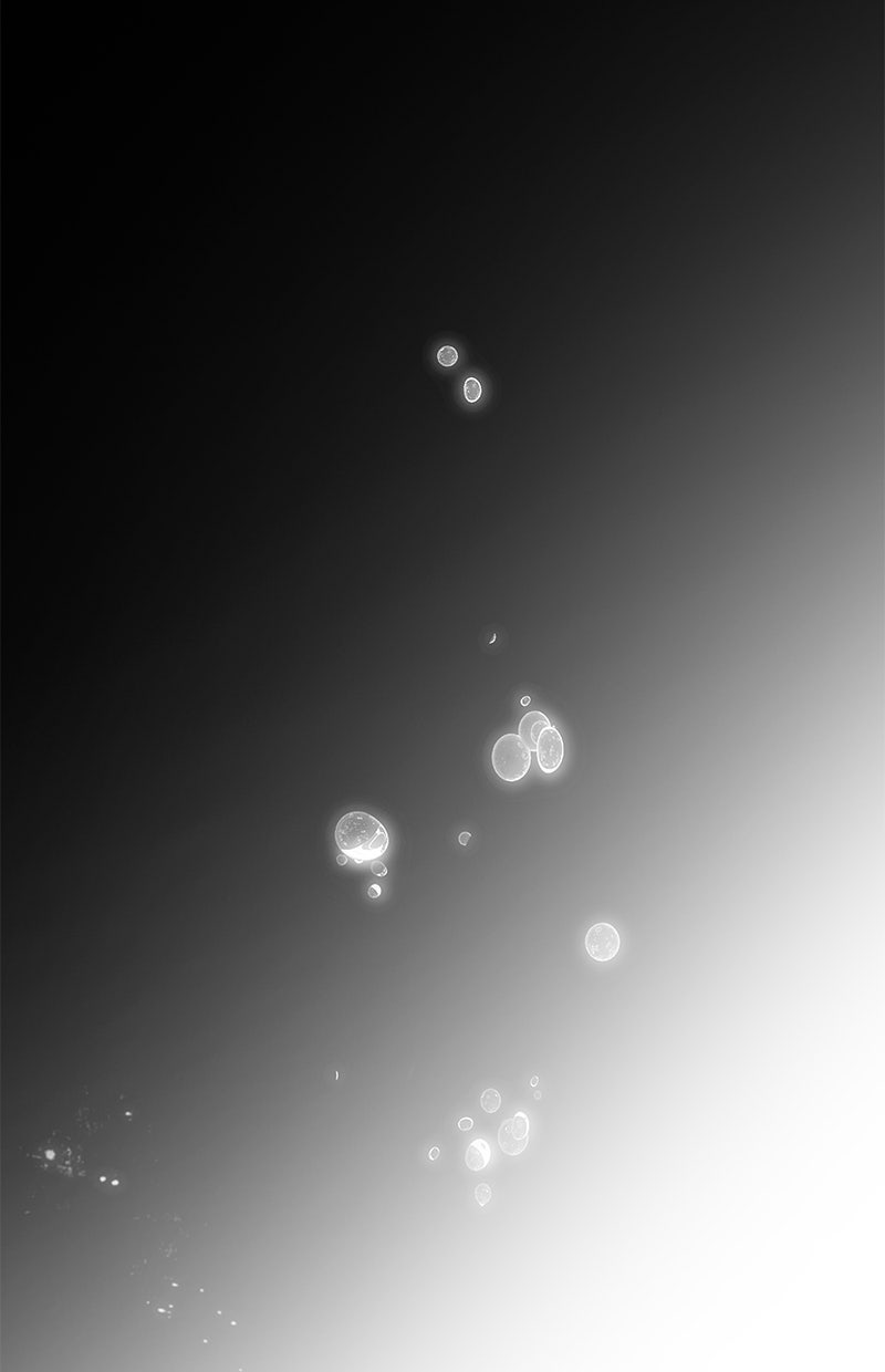 Read Der allwissende Leser DE Manga Online