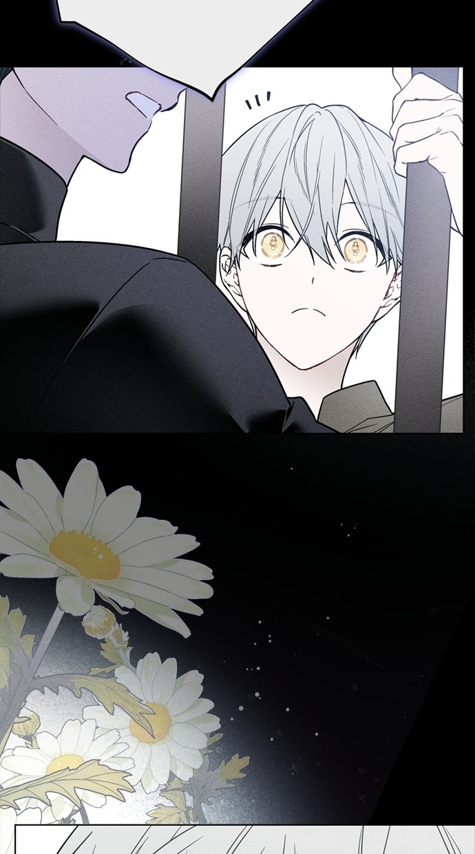 Read From a Knight to a Lady DE Manga Online