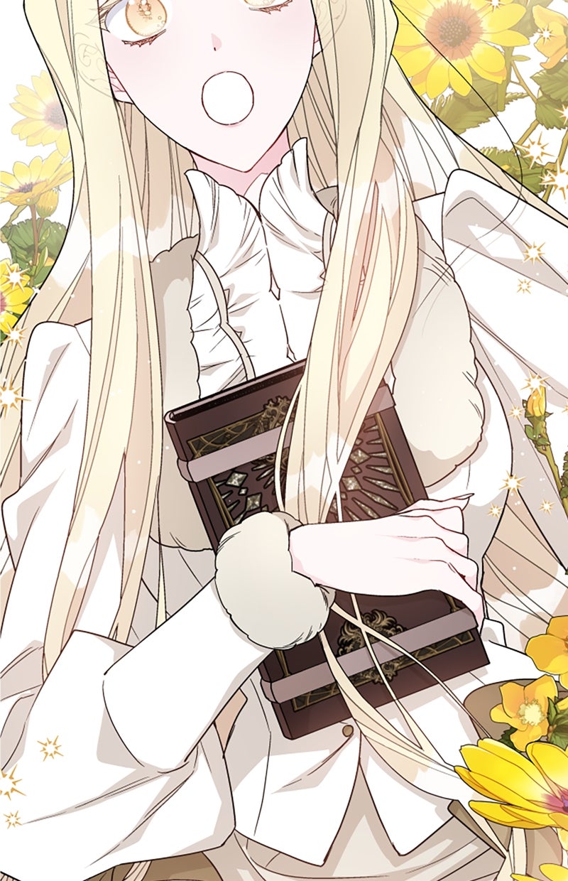 Read From a Knight to a Lady DE Manga Online