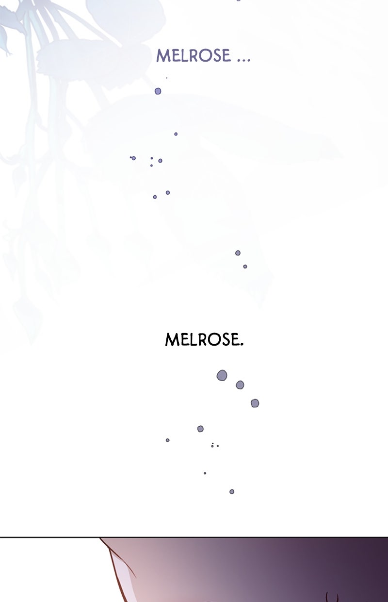 Read From a Knight to a Lady DE Manga Online