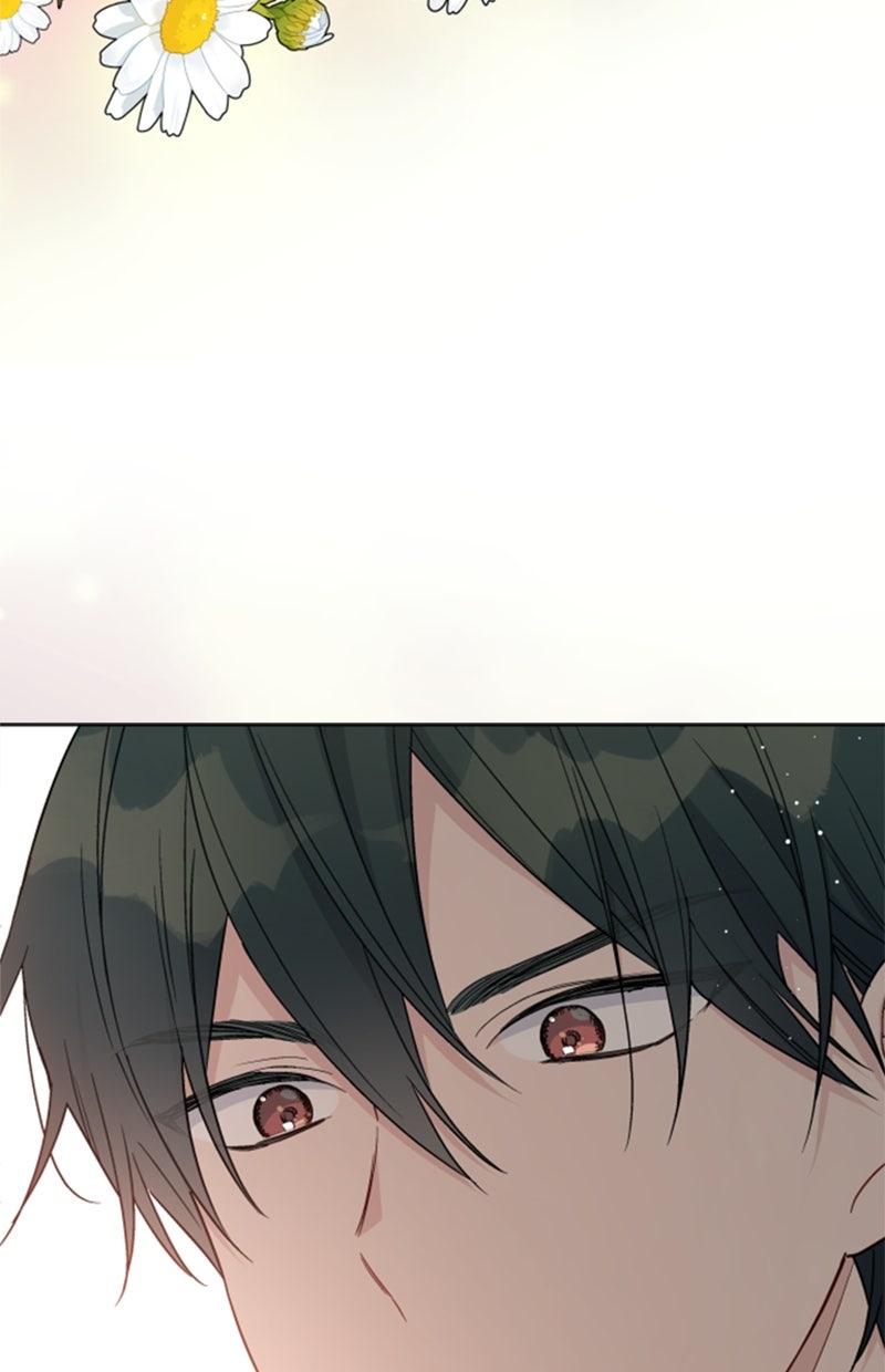 Read From a Knight to a Lady DE Manga Online