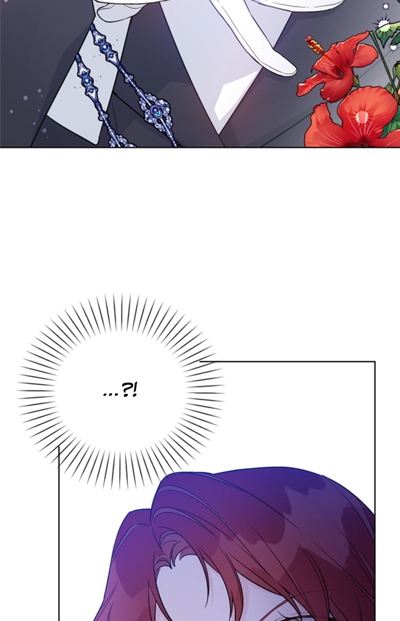 Read From a Knight to a Lady DE Manga Online