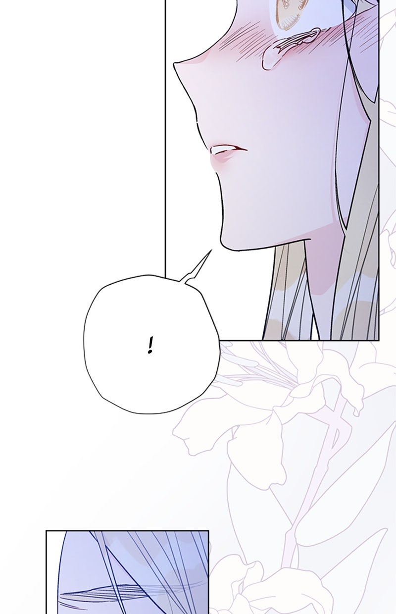 Read From a Knight to a Lady DE Manga Online