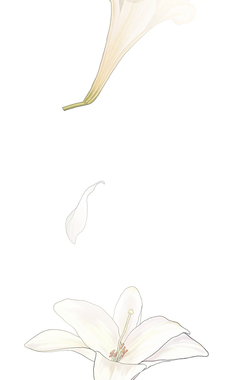 Read I'm the Queen in This Life DE Manga Online