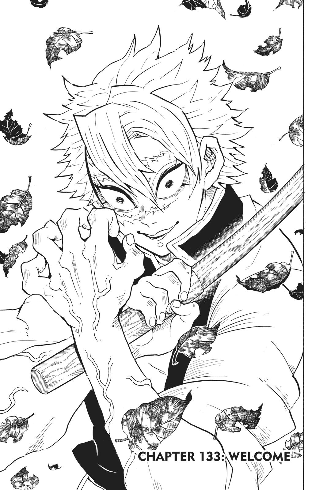 Read Demon Slayer_ Kimetsu no Yaiba EN Manga Online