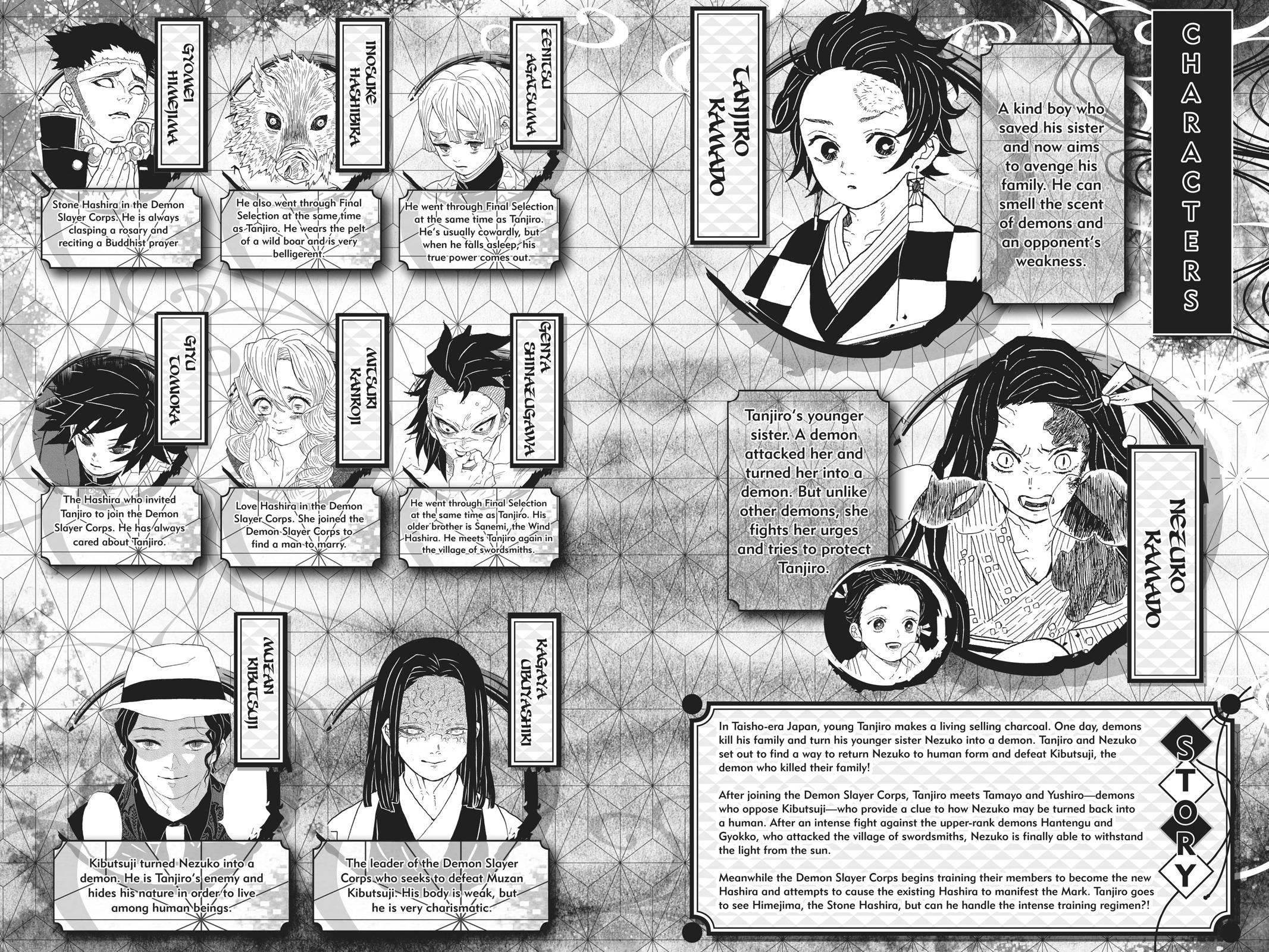 Read Demon Slayer_ Kimetsu no Yaiba EN Manga Online