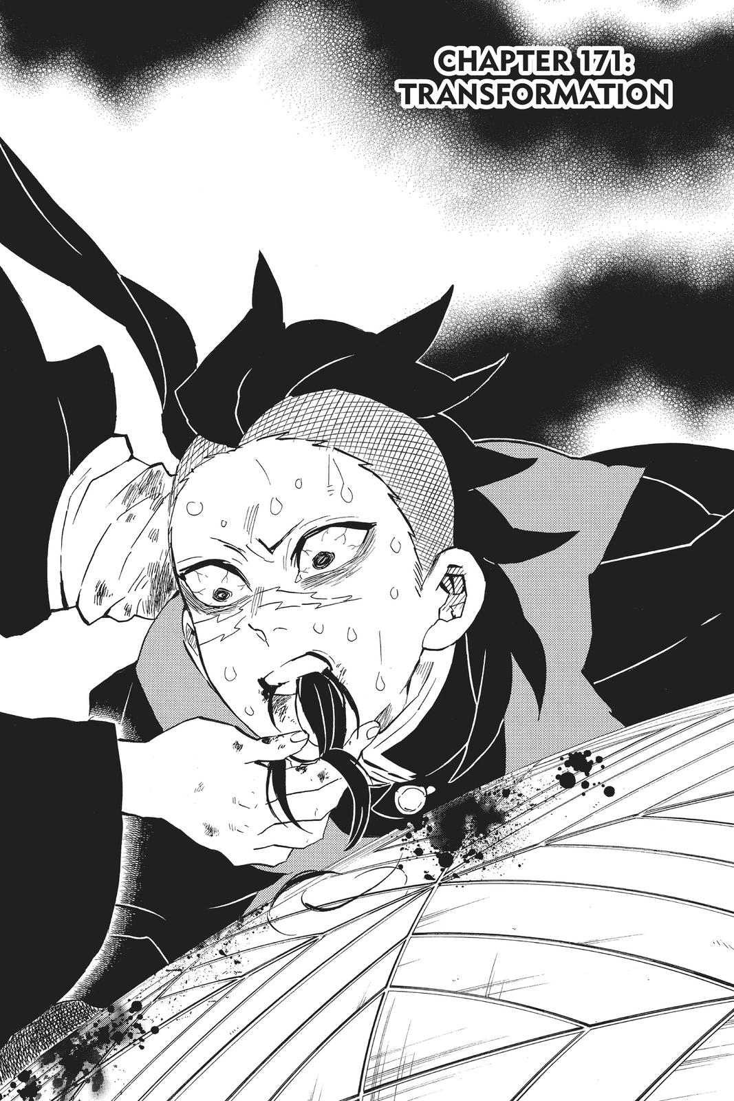 Read Demon Slayer_ Kimetsu no Yaiba EN Manga Online