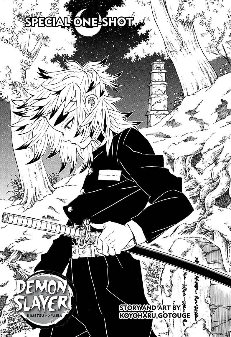 Read Demon Slayer_ Kimetsu no Yaiba EN Manga Online