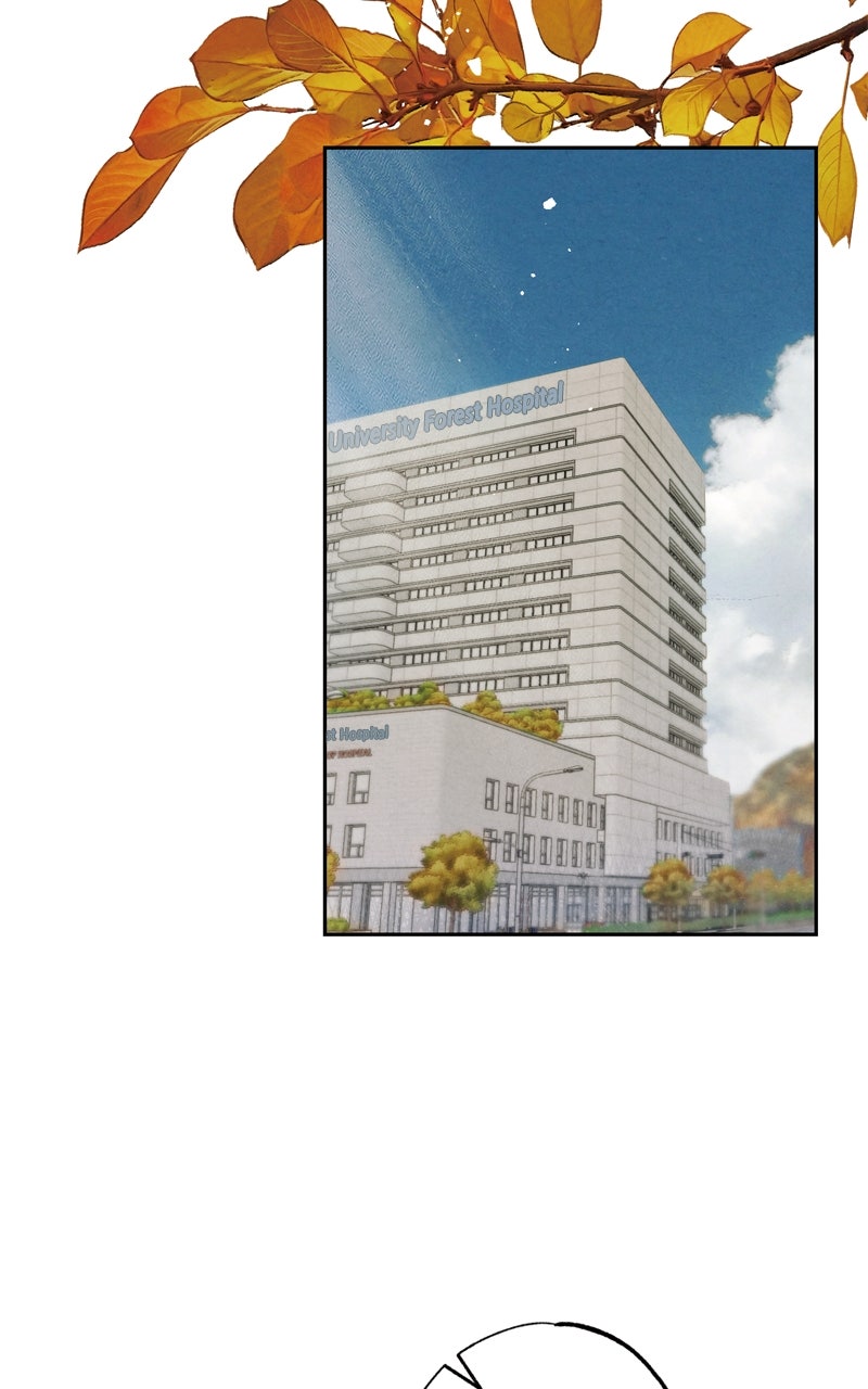 Read Dr. Kim of London EN Manga Online