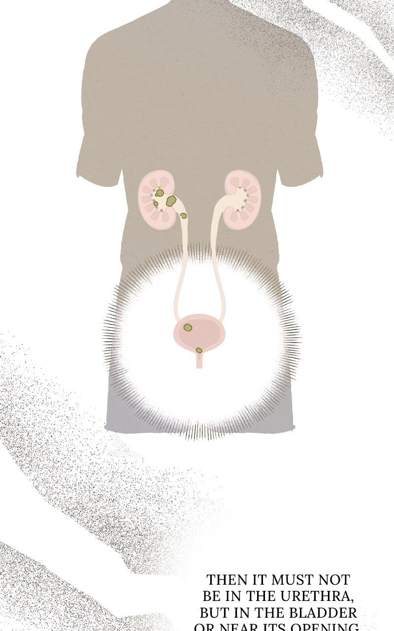 Read Dr. Kim of London EN Manga Online