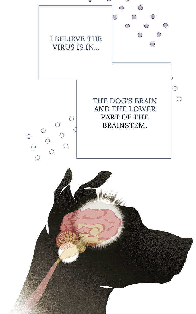 Read Dr. Kim of London EN Manga Online