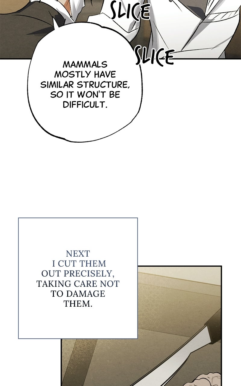 Read Dr. Kim of London EN Manga Online