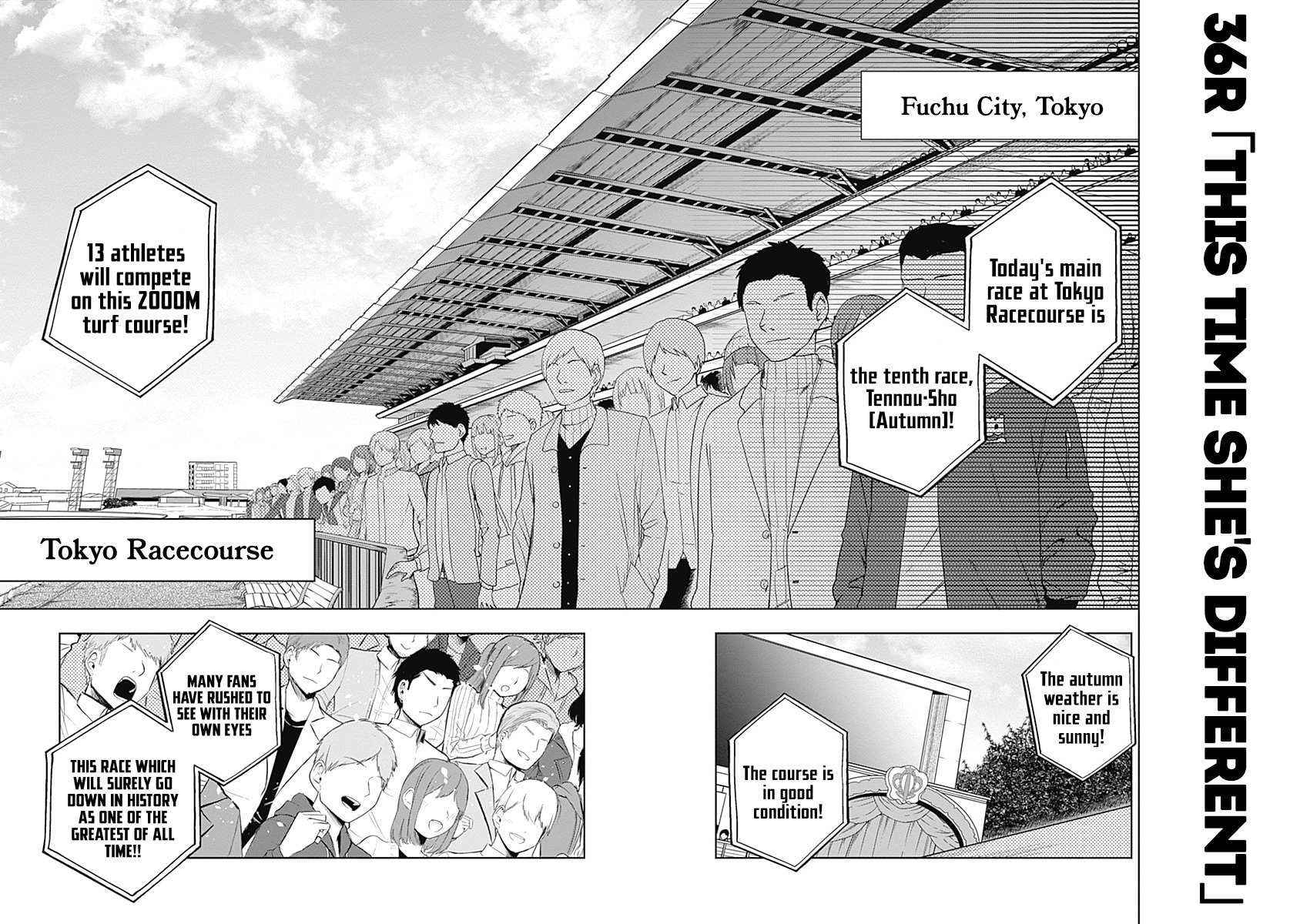 Read Uma Musume Cinderella Gray EN Manga Online