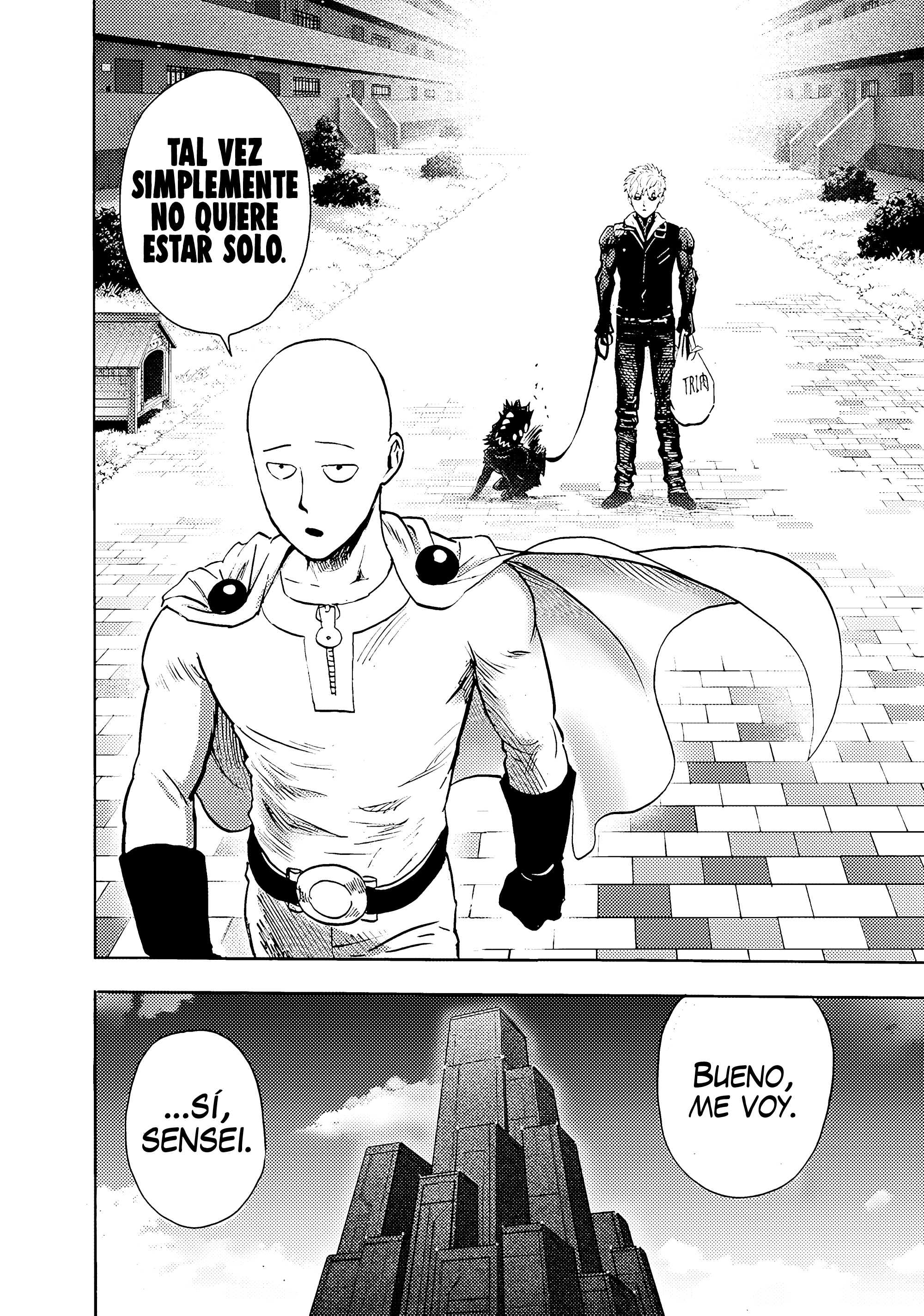 Read One Punch-Man ES Manga Online