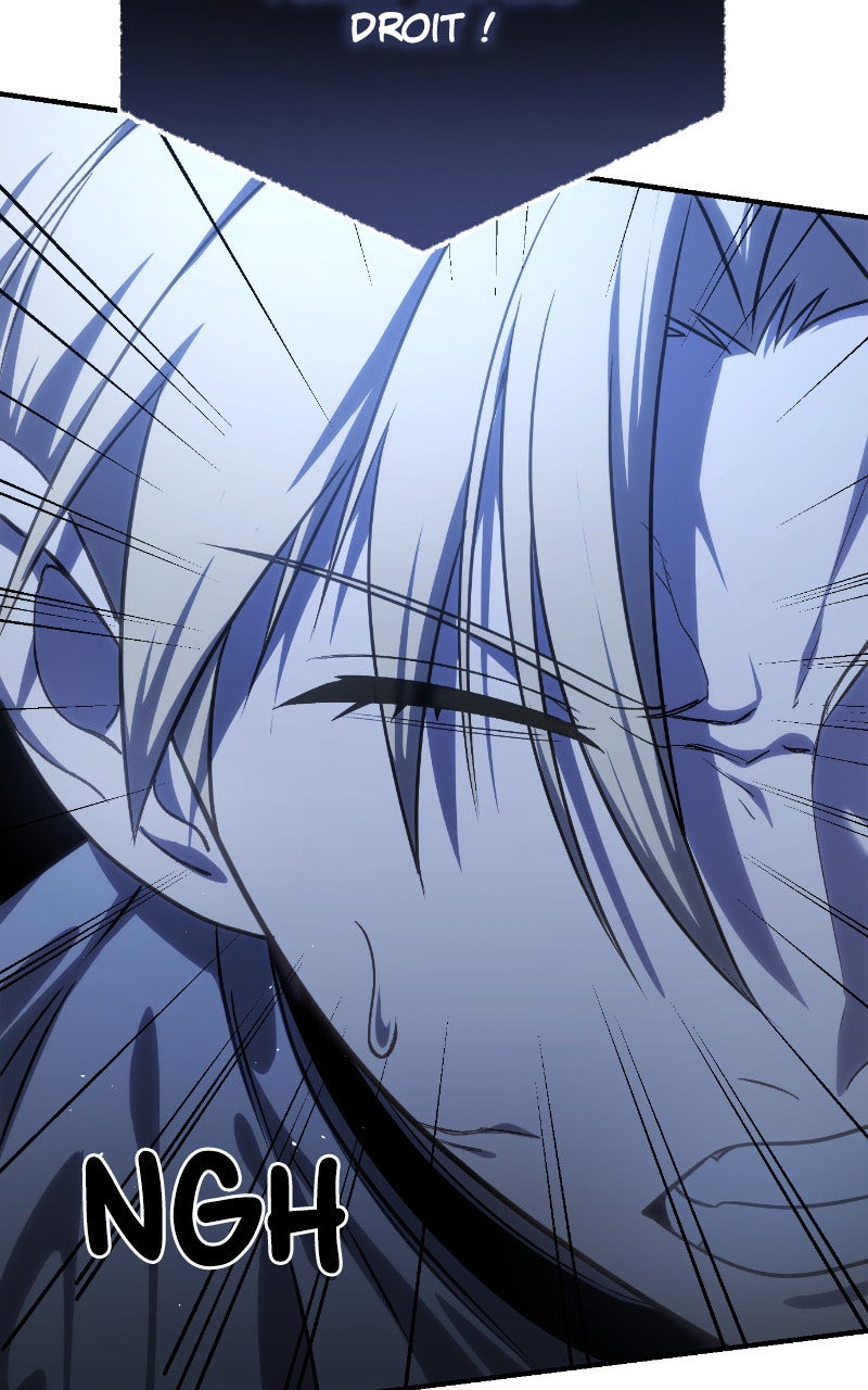 Read The Stellar Swordmaster FR Manga Online