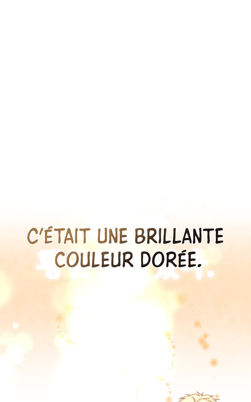 Read The Stellar Swordmaster FR Manga Online