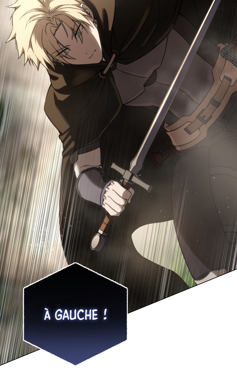 Read The Stellar Swordmaster FR Manga Online