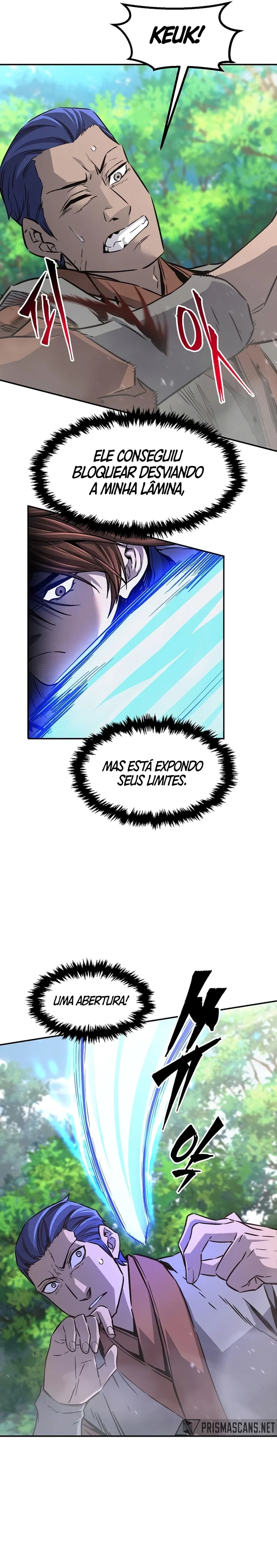 Read Absolute Sword Sense PTBR Manga Online