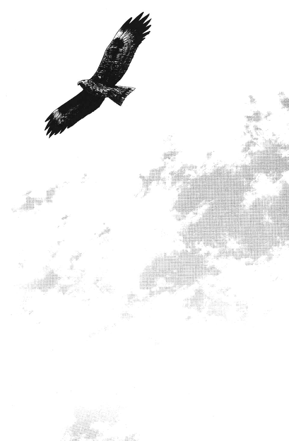 Read Бродяга RU Manga Online