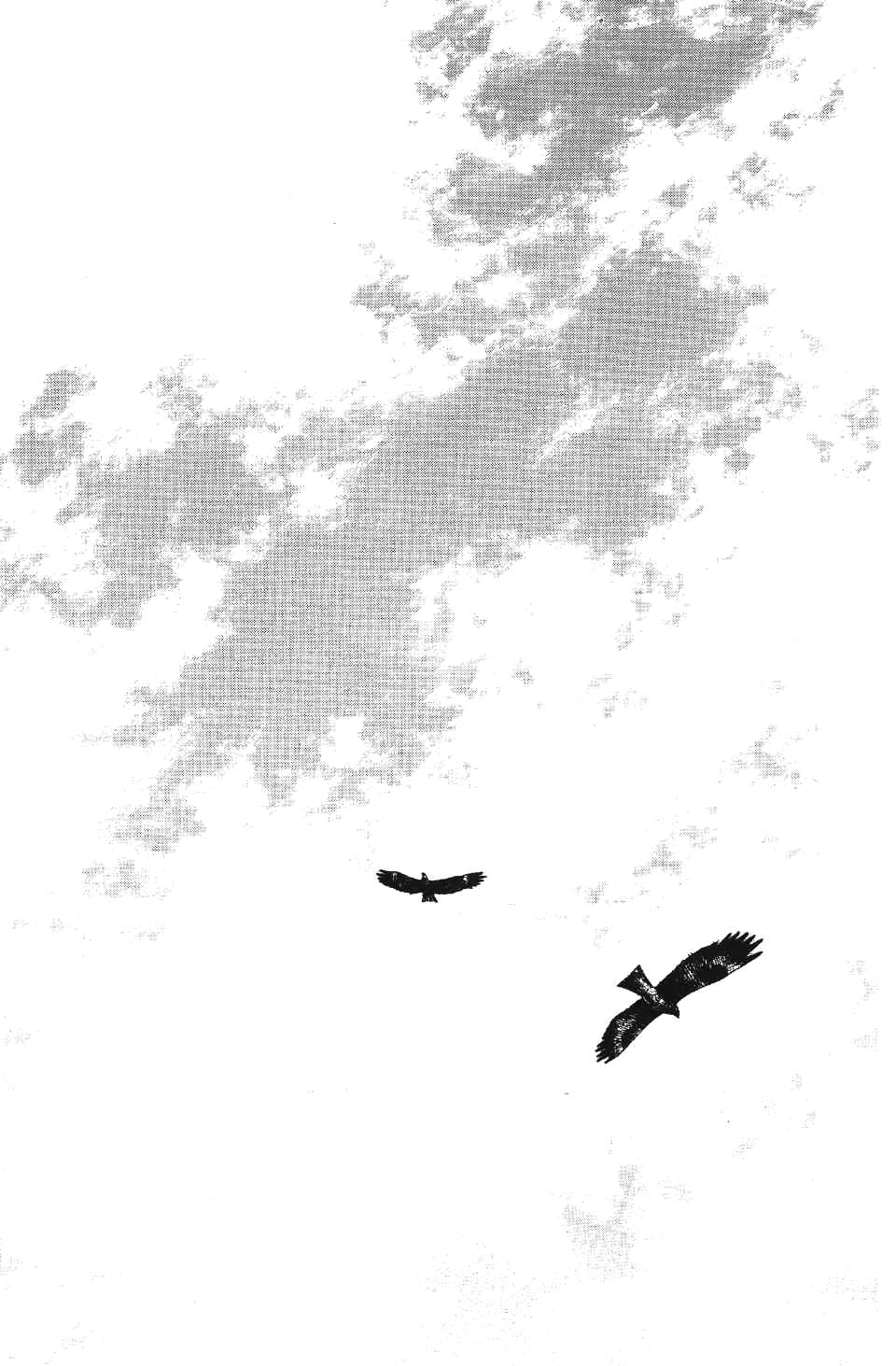 Read Бродяга RU Manga Online