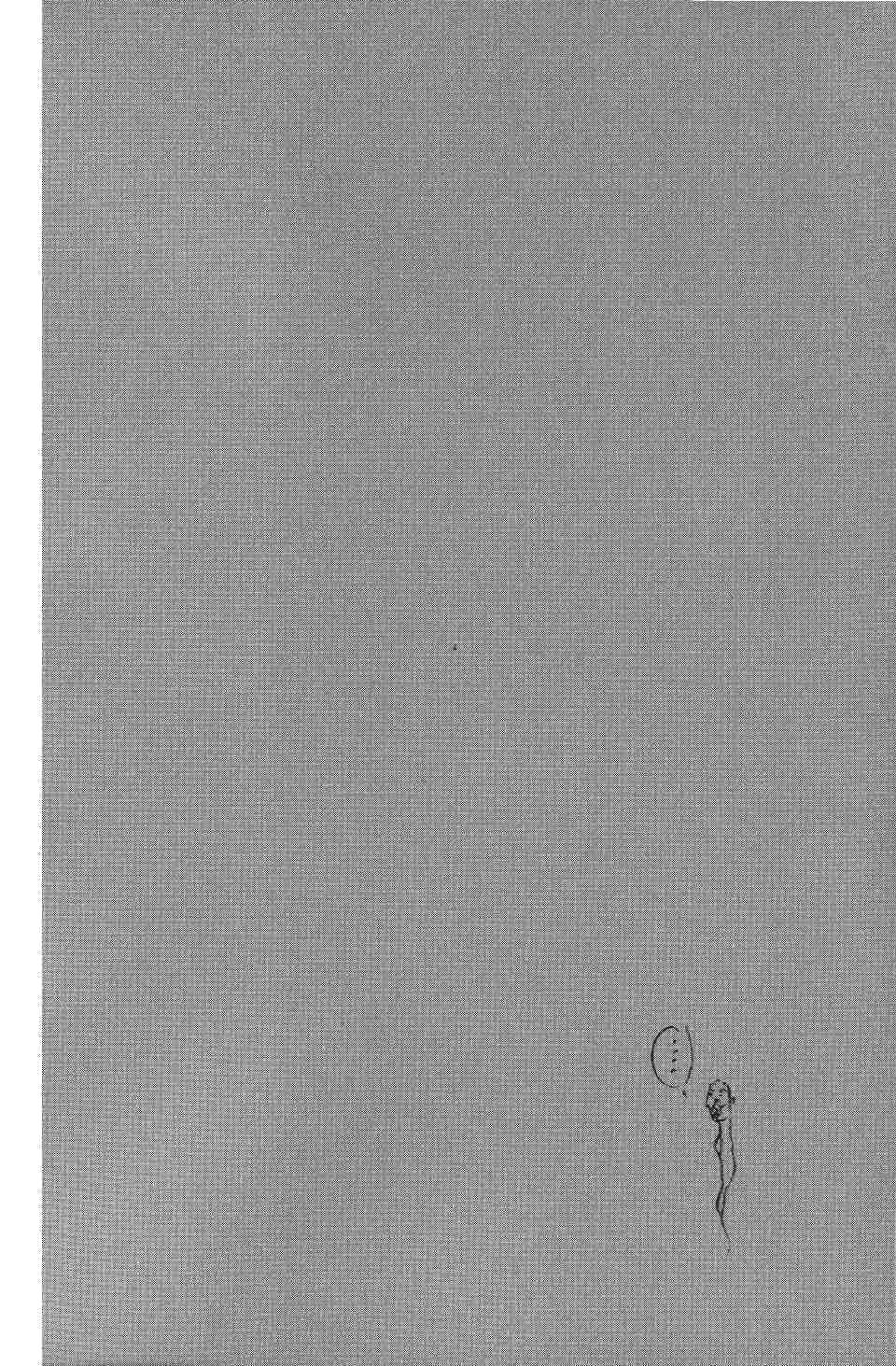 Read Бродяга RU Manga Online