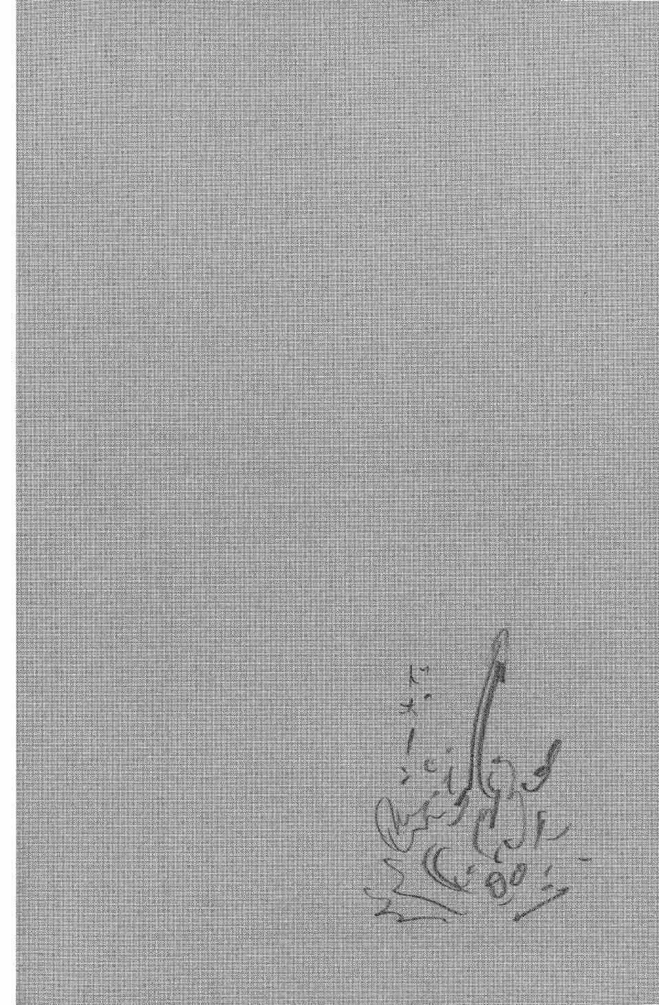 Read Бродяга RU Manga Online