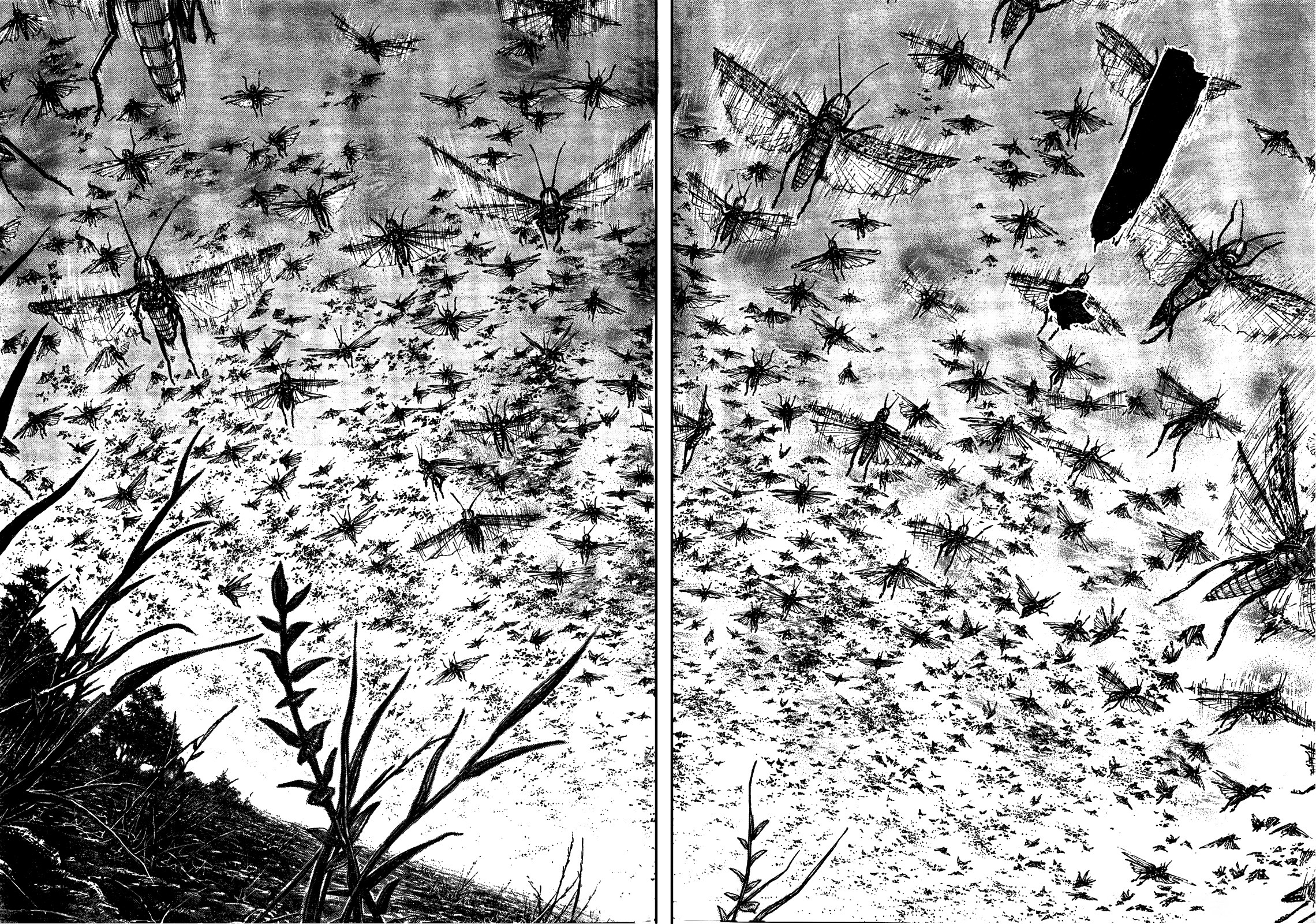 Read Бродяга RU Manga Online