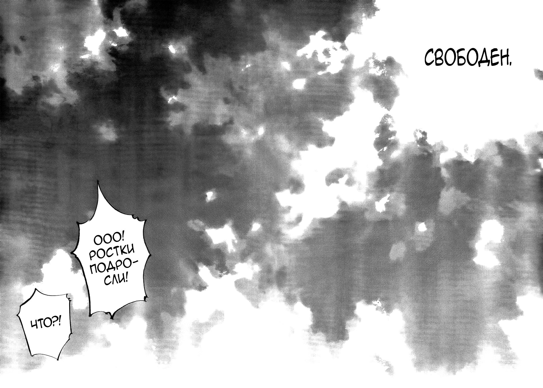 Read Бродяга RU Manga Online