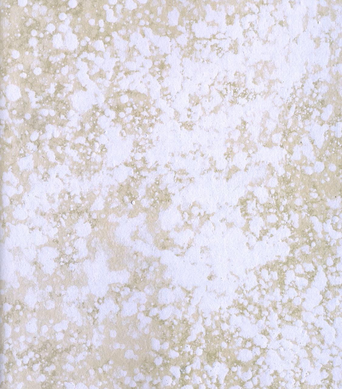 Read Бродяга RU Manga Online