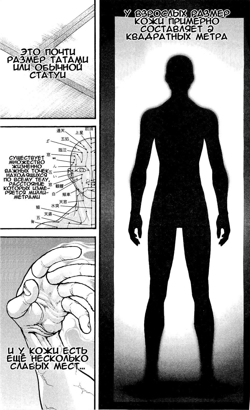 Read Ханма Баки RU Manga Online