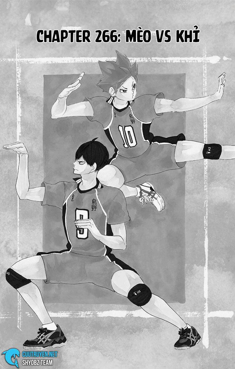 Read Haikyuu VI Manga Online