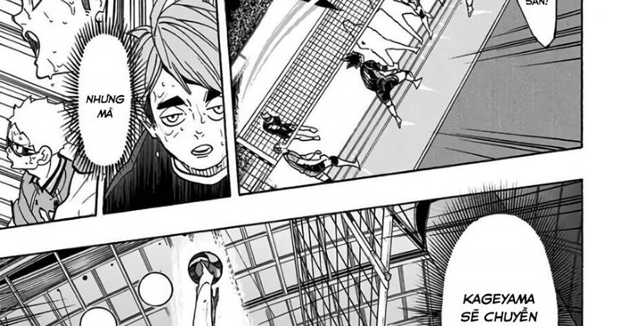 Read Haikyuu VI Manga Online
