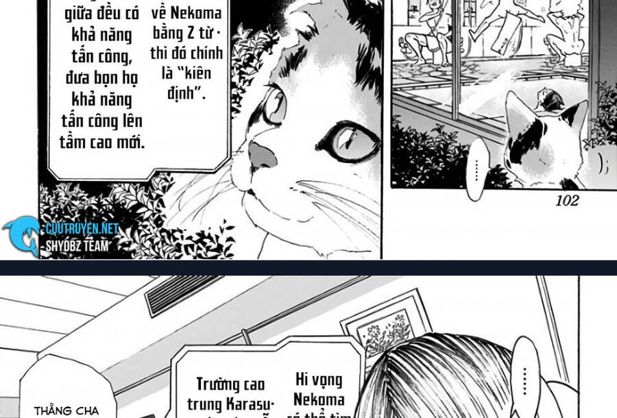 Read Haikyuu VI Manga Online