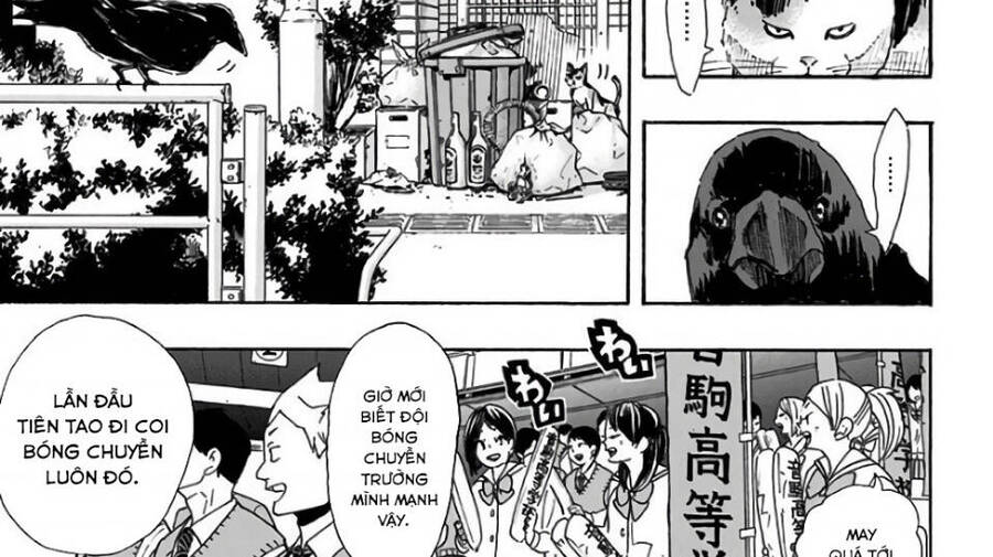 Read Haikyuu VI Manga Online