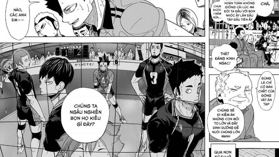 Read Haikyuu VI Manga Online