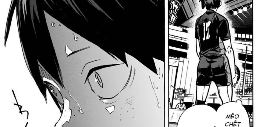 Read Haikyuu VI Manga Online