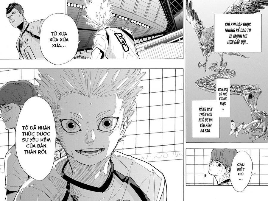 Read Haikyuu VI Manga Online