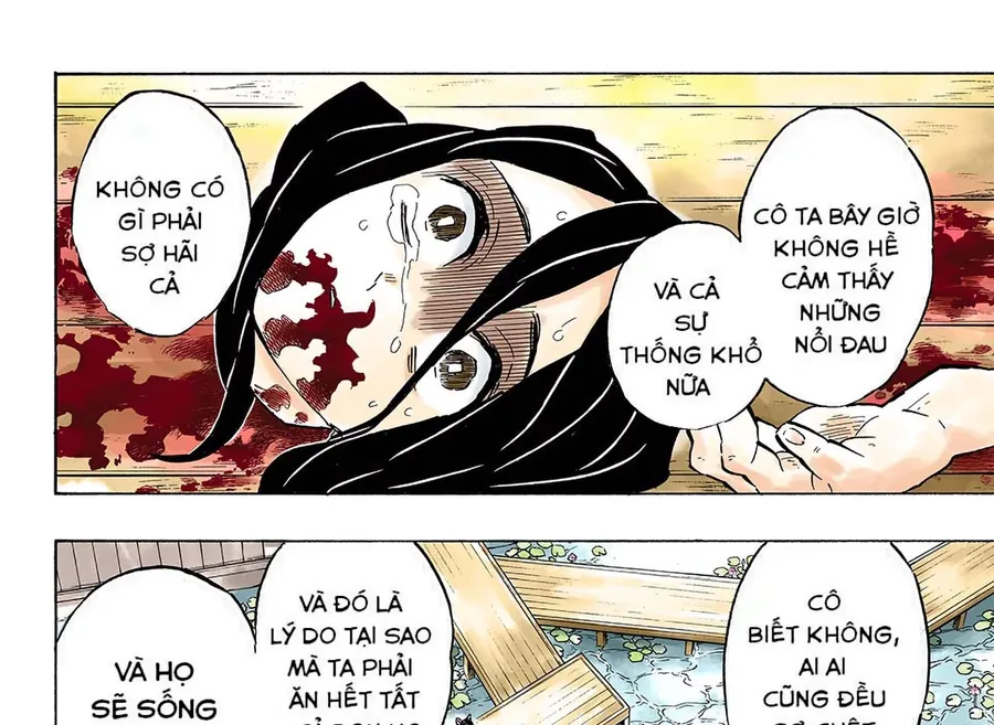 Read Thanh Gươm Diệt Quỷ Truyện Màu VI Manga Online