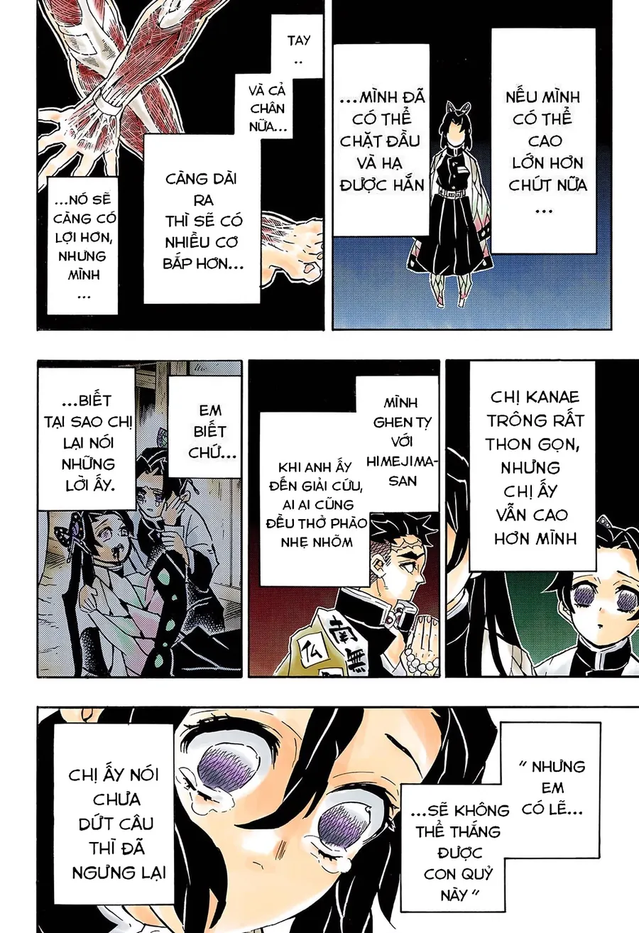 Read Thanh Gươm Diệt Quỷ Truyện Màu VI Manga Online