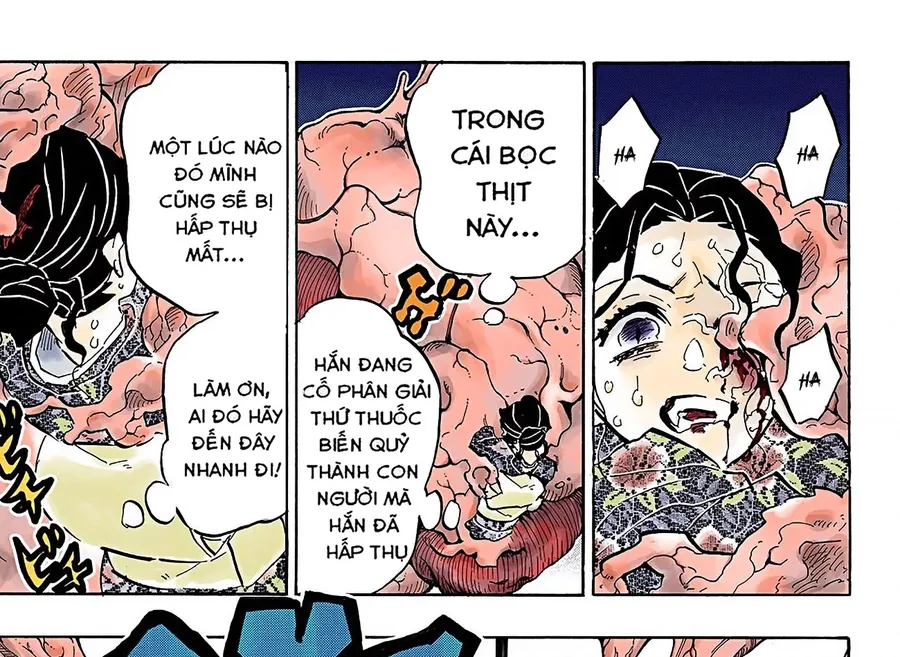 Read Thanh Gươm Diệt Quỷ Truyện Màu VI Manga Online