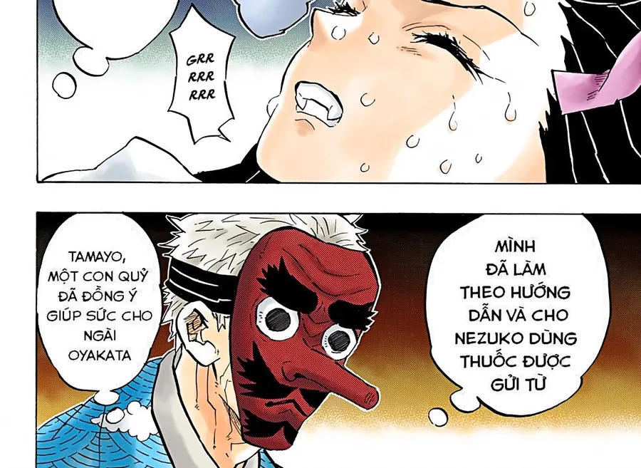 Read Thanh Gươm Diệt Quỷ Truyện Màu VI Manga Online