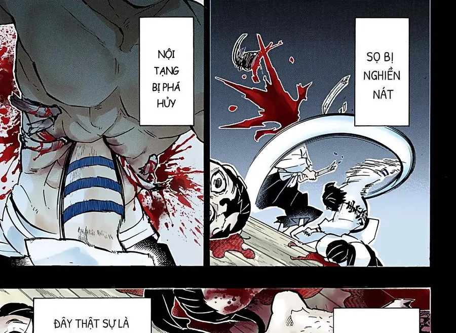 Read Thanh Gươm Diệt Quỷ Truyện Màu VI Manga Online