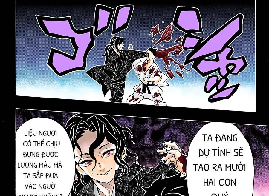 Read Thanh Gươm Diệt Quỷ Truyện Màu VI Manga Online