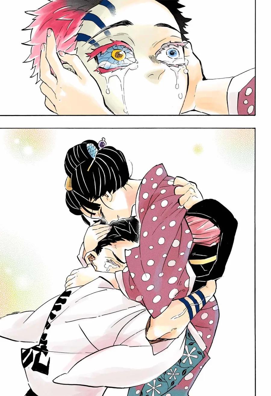 Read Thanh Gươm Diệt Quỷ Truyện Màu VI Manga Online